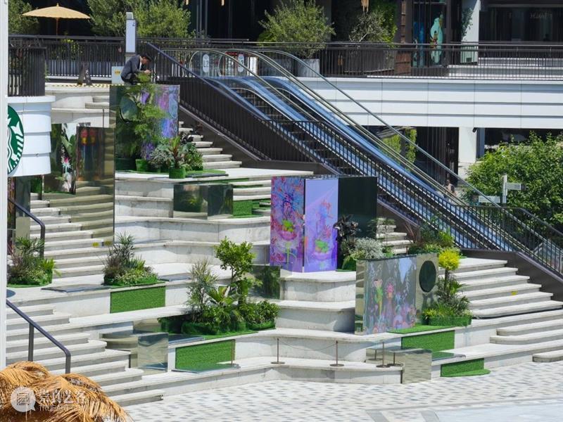 2025 首届上海国际当代影像节成功举办! 在「用影像发声的时代」,见证艺术与城市的深度共振 视频资讯 崇真艺客